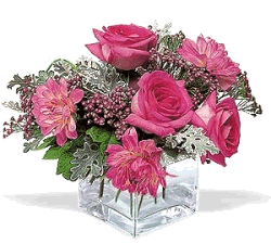 a vase with pink roses 